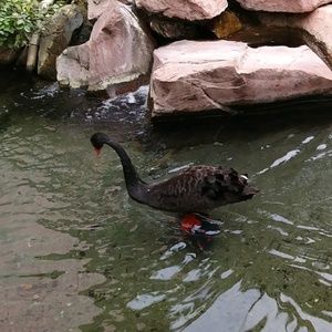 Meet your Posher, Kristie